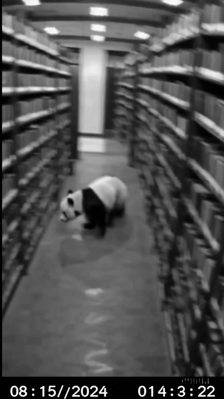 Panda Library Cctv Footage Video 1 – video thumbnail