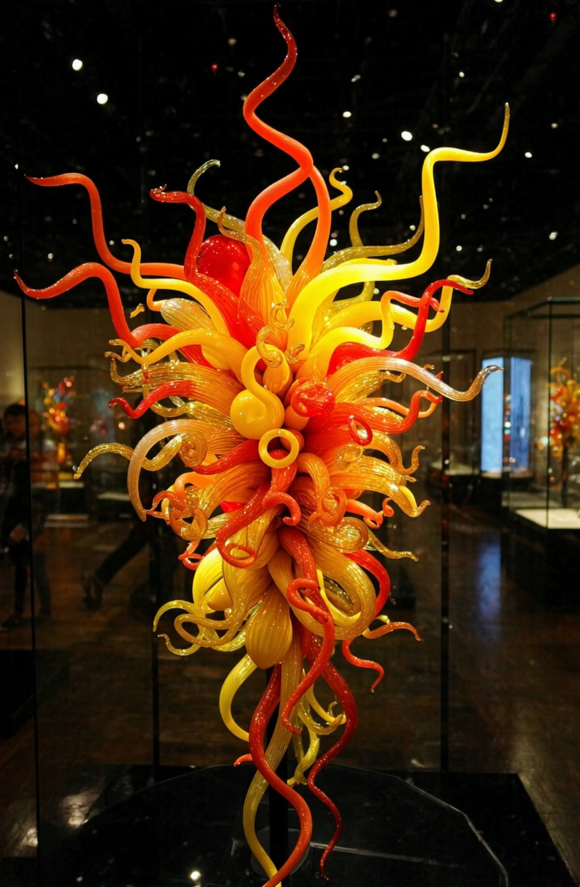 Colorful Glass Sculpture Coral Inspired Museum Display Video 5 Thumbnail